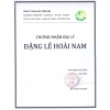 Trà Bồ Công Anh Cao Cấp P&K 40 Túi Lọc - Mát Gan, Giải Độc, Ngừa Ung Thư, Thanh Lọc - 95k 5