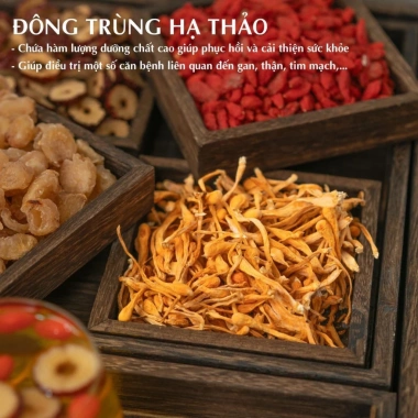 Trà Bổ Thận Organic Đông Trùng Hạ Thảo Hỗ Trợ Sinh Lý Nam, Cải Thiện Xuất Tinh, Giá 145k 5