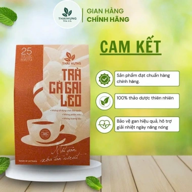 Trà Cà Gai Leo Thái Hưng - Hộp 25 Túi Lọc Thảo Mộc Nguyên Chất, Giá 47.300₫ 3