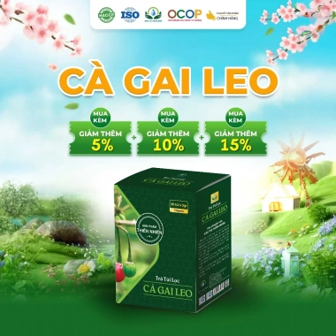 Trà Cà Gai Leo Túi Lọc Hộp 30 Gói - Giá 53K, Giải Độc Rượu, Siêu Thị Thiên Nhiên
