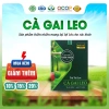 Trà Cà Gai Leo Túi Lọc Hộp 30 Gói - Giá 53K, Giải Độc Rượu, Siêu Thị Thiên Nhiên 8