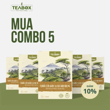 Trà Cà Gai Leo Xạ Đen Túi Lọc 30x3g - Mát Gan, Giải Độc Gan, Teabox 35.000đ