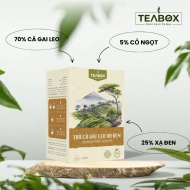 Trà Cà Gai Leo Xạ Đen Túi Lọc 30x3g - Mát Gan, Giải Độc Gan, Teabox 35.000đ 4 Trà Cà Gai Leo Xạ Đen Túi Lọc 30x3g - Mát Gan, Giải Độc Gan, Teabox 35.000đ 4