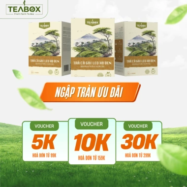 Trà Cà Gai Leo Xạ Đen Túi Lọc 30x3g - Mát Gan, Giải Độc Gan, Teabox 35.000đ 5 Trà Cà Gai Leo Xạ Đen Túi Lọc 30x3g - Mát Gan, Giải Độc Gan, Teabox 35.000đ 5