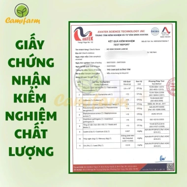 Trà Cam Quế Camifarm - Thanh lọc cơ thể, thơm miệng, giảm cân, tăng đề kháng