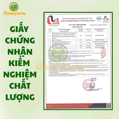 Trà Cam Quế Camifarm - Thanh lọc cơ thể, thơm miệng, giảm cân, tăng đề kháng