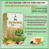 Trà Cây Rau Mương Diếp Cá Nấm Linh Chi 30 Túi Lọc - Tốt Cho Dạ Dày, Giá 139.000đ 2