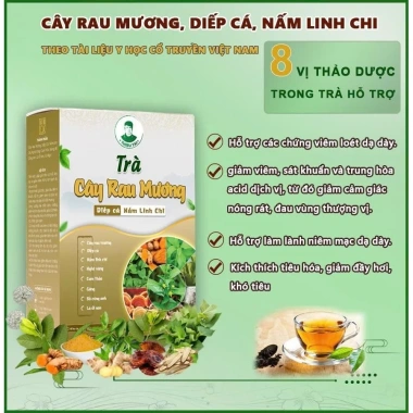Trà Cây Rau Mương Diếp Cá Nấm Linh Chi 30 Túi Lọc - Tốt Cho Dạ Dày, Giá 139.000đ