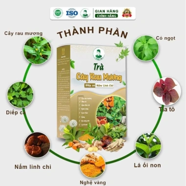 Trà Cây Rau Mương Diếp Cá Nấm Linh Chi 30 Túi Lọc - Tốt Cho Dạ Dày, Giá 139.000đ