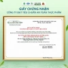 Trà Cây Rau Mương Diếp Cá Nấm Linh Chi 30 Túi Lọc - Tốt Cho Dạ Dày, Giá 139.000đ 4