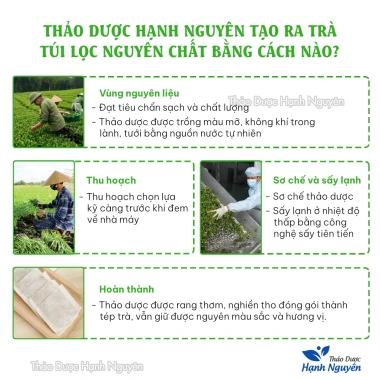 Trà cỏ ngọt 30 túi lọc - Thanh nhiệt, thải độc, 40.000đ Thảo dược Hạnh Nguyên 6 Trà cỏ ngọt 30 túi lọc - Thanh nhiệt, thải độc, 40.000đ Thảo dược Hạnh Nguyên 6