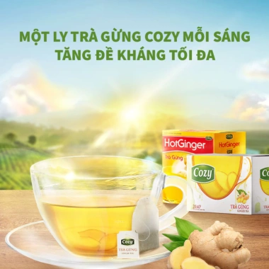 Trà Cozy Hương Gừng 40g 20 Túi Lọc Thơm, Vị Gừng Đậm, Dễ Pha, Giá 43.730₫ 3