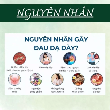 Trà Dạ Dày Đại Tràng 50 lọc - Giảm viêm loét, trào ngược, ợ hơi, ợ chua, ngăn HP - Giá 130.000₫ 6 Trà Dạ Dày Đại Tràng 50 lọc - Giảm viêm loét, trào ngược, ợ hơi, ợ chua, ngăn HP - Giá 130.000₫ 6