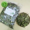 Trà Dây Thìa Canh Khô Lá To Thơm - Dành cho Người Tiểu Đường, 1KG Giá 94.000₫ 2