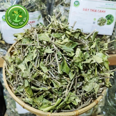 Trà Dây Thìa Canh Khô Lá To Thơm - Dành cho Người Tiểu Đường, 1KG Giá 94.000₫ 4 Trà Dây Thìa Canh Khô Lá To Thơm - Dành cho Người Tiểu Đường, 1KG Giá 94.000₫ 4