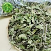 Trà Dây Thìa Canh Khô Lá To Thơm - Dành cho Người Tiểu Đường, 1KG Giá 94.000₫ 8