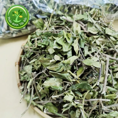 Trà Dây Thìa Canh Khô Lá To Thơm - Dành cho Người Tiểu Đường, 1KG Giá 94.000₫