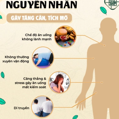 Trà Detox Thải Mỡ Giảm Cân THẦY THUỐC LANG CƯỜNG: Thải Bụng, Đùi, Tay, Nội Tạng Giá 198.000 VNĐ