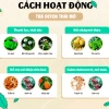 Trà detox thải mỡ nội tạng Lang Cường - Giảm mỡ bụng, đùi, bắp tay, chỉ 198.000đ 2