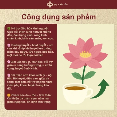 Trà Điều Kinh Nữ Đan - Giảm Đau Bụng Kinh, Cải Da, Hỗ Trợ U Nang Tử Cung, Cân Bằng Nội Tiết - Giá 177.700₫ 3