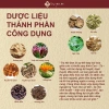 Trà Điều Kinh Nữ Đan - Giảm Đau Bụng Kinh, Cải Da, Hỗ Trợ U Nang Tử Cung, Cân Bằng Nội Tiết - Giá 177.700₫ 5