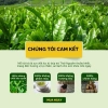 Trà Đinh Ngọc Thượng Phẩm Trà Xanh Thái Nguyên An Tâm Khang 500g Hộp Gỗ Quà Sang Trọng 2