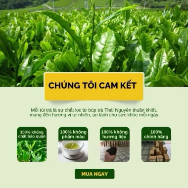 Trà Đinh Ngọc Thượng Phẩm Trà Xanh Thái Nguyên An Tâm Khang 500g Hộp Gỗ Quà Sang Trọng 2