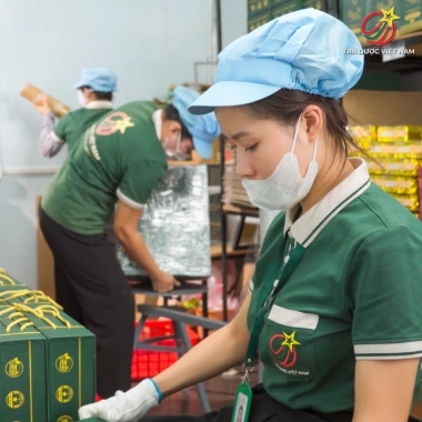 Trà Đinh Nõn Thái Nguyên Thượng Hạng 100g – Nước Xanh, Hương Cốm, Giá 160.000 VNĐ 8 Trà Đinh Nõn Thái Nguyên Thượng Hạng 100g – Nước Xanh, Hương Cốm, Giá 160.000 VNĐ 8