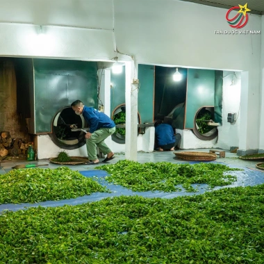 Trà Đinh Thái Nguyên Hảo Hạng 200g - Vạn Khang Trà, Rất Thơm Ngon, Nước Xanh, Hậu Ngọt Sâu, Giá 340.000đ 7