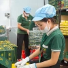 Trà Đinh Thái Nguyên Hảo Hạng 200g - Vạn Khang Trà, Rất Thơm Ngon, Nước Xanh, Hậu Ngọt Sâu, Giá 340.000đ 8