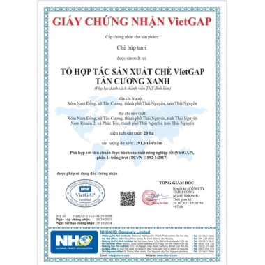 Trà Đinh Ướp Hoa Nhài 100/200gr Tân Cương Xanh - Giá chỉ 150.888đ, sức đề kháng