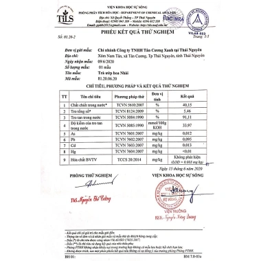 Trà Đinh Ướp Hoa Nhài 100/200gr Tân Cương Xanh - Giá chỉ 150.888đ, sức đề kháng