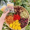 Trà Đông Trùng 7 Vị Thảo Mộc Hộp 30 - Tặng Bình Thủy Tinh, Đẹp Da, Dễ Ngủ, Thanh Lọc Cơ Thể 80k 4