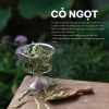 Trà Đông Trùng Hạ Thảo 7 Vị – Bổ Sức Tăng Sinh Lý Cải Nội Tiết Da Ngủ Ngon – 106.000đ 9