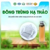 Trà Đông Trùng Hạ Thảo Hoa Nhài Cỏ Ngọt 30 Túi 3g - Siêu Thị Thiên Nhiên Giá ưu đãi 43.000 VND 2