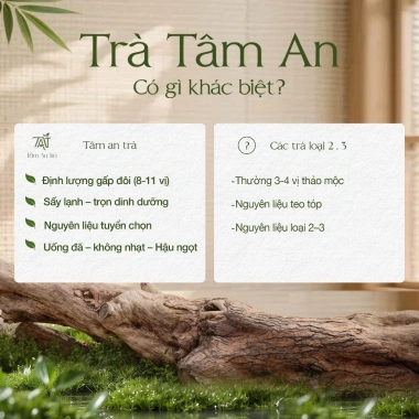 Trà Đông Trùng Hạ Thảo TÂM AN 7 vị thảo mộc, thanh nhẹ, dễ uống, ưu đãi 170.000₫