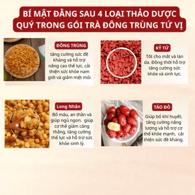 Trà Đông Trùng Hạ Thảo Tứ Vị - Bồi Bổ Sức Khỏe, Đẹp Da, Chống Lão Hóa, An Thần, Ngủ Ngon - Giá chỉ 91.200₫ 3