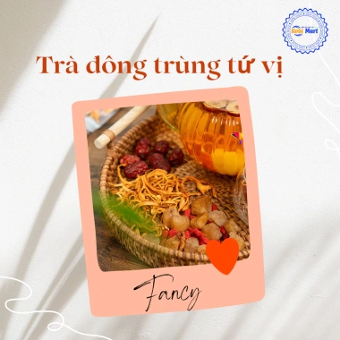 Trà Đông Trùng Tứ Vị (Đông Trùng Hạ Thảo, Táo Đỏ, Kỷ Tử, Long Nhãn) - Hộp 10/20/30 gói kèm bình hoặc túi lọc - Giảm giá đặc biệt