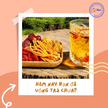 Trà Đông Trùng Tứ Vị (Đông Trùng Hạ Thảo, Táo Đỏ, Kỷ Tử, Long Nhãn) - Hộp 10/20/30 gói kèm bình hoặc túi lọc - Giảm giá đặc biệt