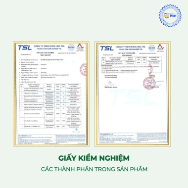 Trà Đông Trùng Tứ Vị (Đông Trùng Hạ Thảo, Táo Đỏ, Kỷ Tử, Long Nhãn) - Hộp 10/20/30 gói kèm bình hoặc túi lọc - Giảm giá đặc biệt 9 Trà Đông Trùng Tứ Vị (Đông Trùng Hạ Thảo, Táo Đỏ, Kỷ Tử, Long Nhãn) - Hộp 10/20/30 gói kèm bình hoặc túi lọc - Giảm giá đặc biệt 9