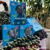 Trà Đủng Đỉnh túi lọc 30 gói - Hương vị tươi mát, giảm giá 187.110 VND 4