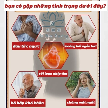 Trà Dưỡng Tim An Hòa Đường - Bảo Vệ Tim, Giảm Nhịp, Tức Ngực, Lo Âu - Chỉ 168.000 VND 2