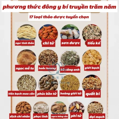 Trà Dưỡng Tim An Hòa Đường - Bảo Vệ Tim, Giảm Nhịp, Tức Ngực, Lo Âu - Chỉ 168.000 VND 3
