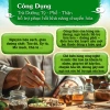 Trà Dưỡng Vạn Đại 250g - Thảo Mộc Thanh Lọc, Dưỡng Tỳ Phế Thận, Tăng Cường Sức Khỏe, Giảm Giá 595.000₫ 2