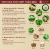 Trà giải độc da Thanh Bì - Trị mụn, viêm da, cơ địa, thanh nhiệt, mát gan, cải thiện da - Giá ưu đãi 185.000 VND 4