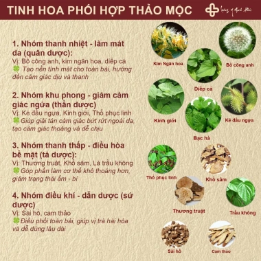 Trà giải độc da Thanh Bì - Trị mụn, viêm da, cơ địa, thanh nhiệt, mát gan, cải thiện da - Giá ưu đãi 185.000 VND 4