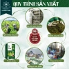 Trà Giảm Mỡ Làng Mai Lá Nam Thải Mỡ Bụng Đùi Nhẹ Người Hộp 60 Gói 71.200 VND 2