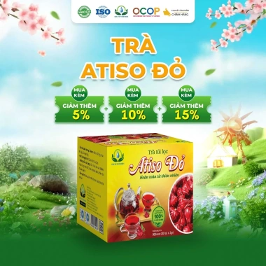 Trà Hoa Atiso Đỏ Thiên Nhiên 30 Túi Lọc - Giảm Cân, Thanh Lọc, Giá 49.000₫