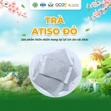 Trà Hoa Atiso Đỏ Thiên Nhiên 30 Túi Lọc - Giảm Cân, Thanh Lọc, Giá 49.000₫ 2