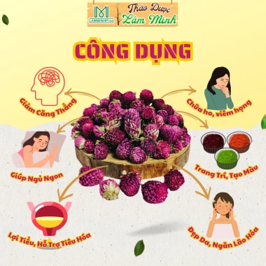Trà Hoa Cúc Bách Nhật Sấy Lạnh Lâm Minh - Cao Cấp, 100% Tự Nhiên, Không Vụn, An Thần - Giá 12.500₫